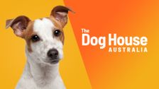 The Dog House Australia