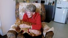 S1 E4: For the Love of Pets