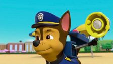 S6 E16: Pups Save the Balloon Pups; Pups Save the Spider Spies