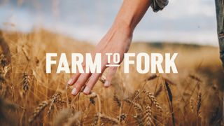 Farm To Fork