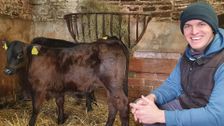 S14 E2: The Yorkshire Vet