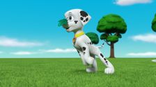Pups Save the Land Pirates