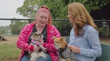 S9 E6: Pooches at Play