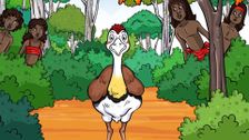 S7 E2: Catch a Bush Turkey