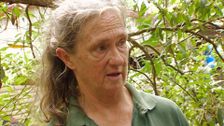 S3 E8: RSPCA Animal Rescue