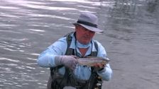 S1 E9: On the Fly