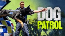 Dog Patrol