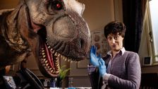 S1 E1: Gravity the Musical, a T-rex and Vampires on Holiday