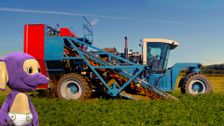 S2 E2: Carrot Harvester