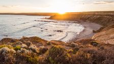S12 E38: South Aussie With Cosi