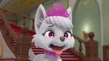 S8 E20: Rescue Knights Break the Ice; Pups Save Excalibark