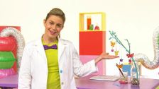 S1 E4: Marvellous Moulds