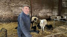S16 E9: The Yorkshire Vet