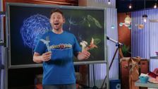 S1 E15: Spinning Seeds