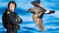 S1 E8: Andy and the Storm Petrel