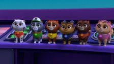 S8 E10: Pups and Katie Stop the Barking Kitty Crew; Pups Save the Glasses