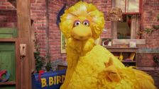 S53 E10: Big Bird's Happy to Be Me Club