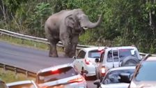 S6 E9: Caught On Dashcam 9