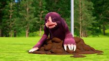 S16 E19: Moose Versus the Mole