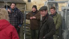 S1 E8: Our Dream Farm with Matt Baker