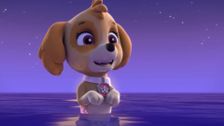 S2 E13: Pups Save a Mer-Pup