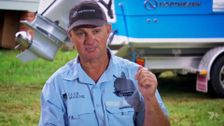 S9 E6: Aussie Gold