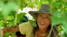 S37 E6: Autumn: Organic Vegie Patch & Urban Grassland