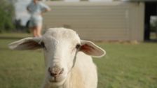 S1 E8: Determination