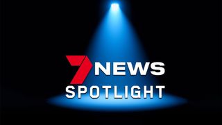 7NEWS Spotlight
