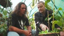 S31 E37: Gardening Australia