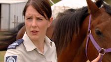 S3 E1: RSPCA Animal Rescue