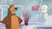 S1 E25: Camp Palace
