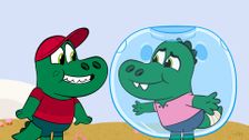 Bubble Brother