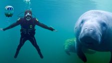 S1 E14: Andy and the Manatees