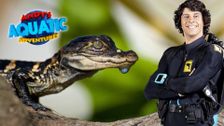 Andy's Aquatic Adventures