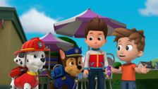 S8 E5: Pups Save the Mustache; Pups Save the Funhouse