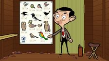 S2 E38: Rare Bird