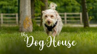 The Dog House