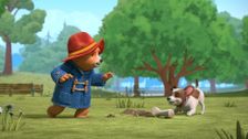S1 E37: Paddington And The Bone