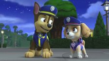 S7 E12: Ultimate Rescue: Pups Save the Pupmobiles