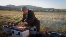S6 E2: Armidale
