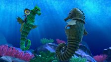 The Trojan Seahorse