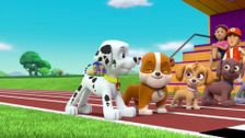 S3 E3: Pups Save the Soccer Game; Pups Save a Lucky Collar