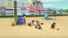 S7 E21: Pups Save a Trash-Dinger; Pups Save the Royal Armor