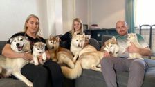 S14 E7: The Yorkshire Vet