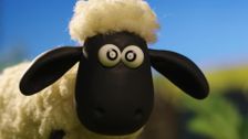 S4 E29: The Stare