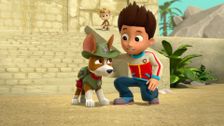 S3 E15: Tracker Joins the Pups!