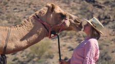 S38 E15: Modern Day Nomad with Robyn Davidson