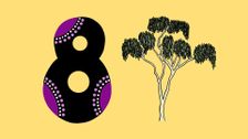S1 E8: Languages Of Our Land