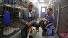 S1 E3: The Dog Hospital with Graeme Hall